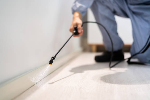 Licensed Emergency Pest Control service in Southeast Fairbanks Census Area County, AK - Nex Pest Control